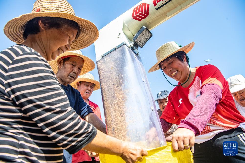 凤凰城注册